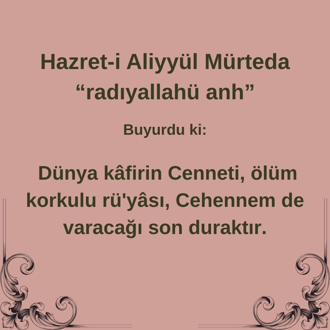 Aliyyül Mürteda (81)